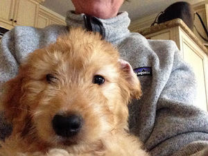 Meet your Posher, Lee